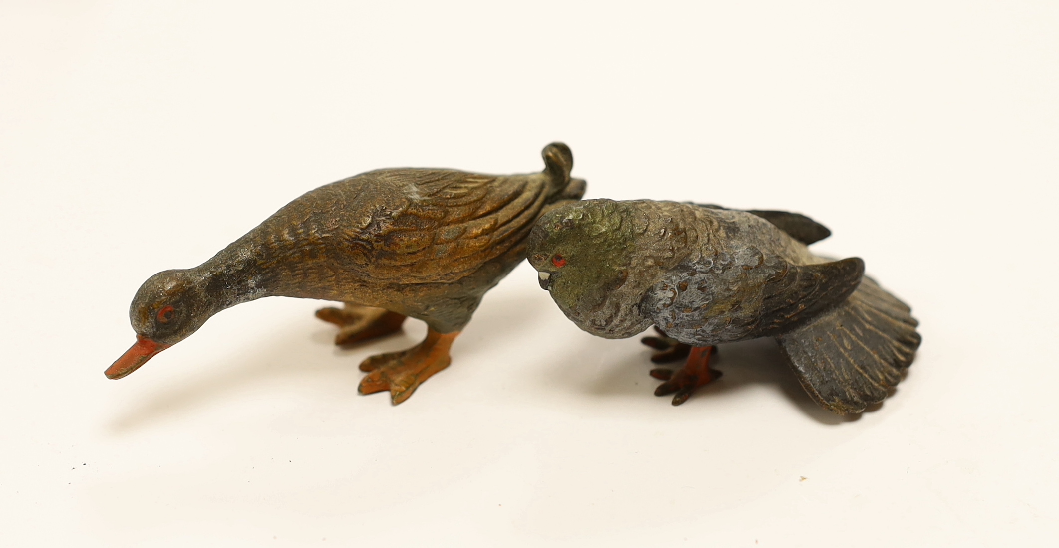 An Austrian cold painted model of a Duck and a Fan Tailed Pigeon, Duck 7cm wide